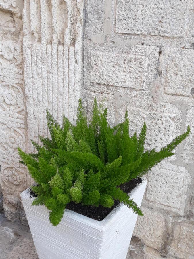 Le Bifore B&B Μολφέττα Εξωτερικό φωτογραφία